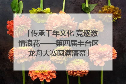 传承千年文化 竞逐激情浪花——第四届丰台区龙舟大赛圆满落幕