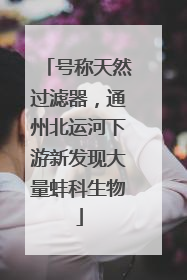 号称天然过滤器，通州北运河下游新发现大量蚌科生物