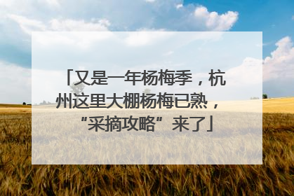 又是一年杨梅季，杭州这里大棚杨梅已熟，“采摘攻略”来了