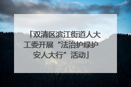 双清区滨江街道人大工委开展“法治护绿护安人大行”活动