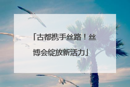 古都携手丝路！丝博会绽放新活力