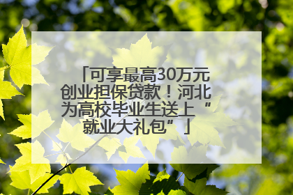 可享最高30万元创业担保贷款！河北为高校毕业生送上“就业大礼包”