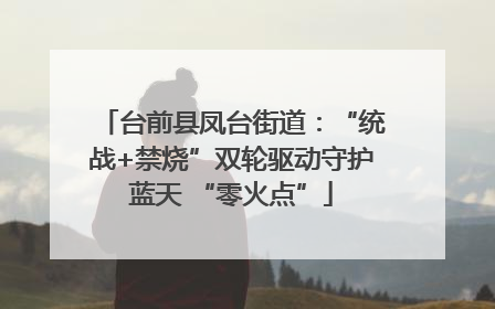 台前县凤台街道：“统战+禁烧”双轮驱动守护蓝天 “零火点”