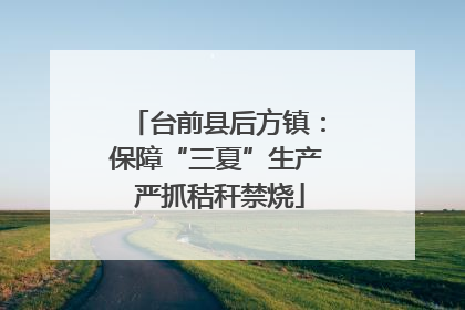 台前县后方镇：保障“三夏”生产 严抓秸秆禁烧