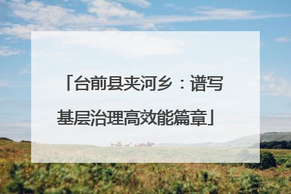 台前县夹河乡：谱写基层治理高效能篇章