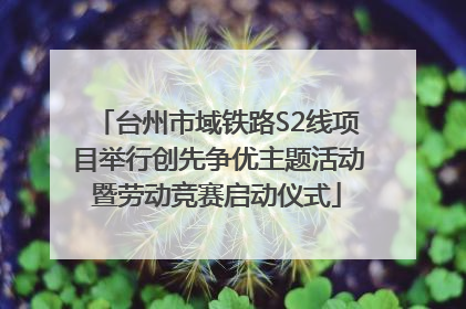 台州市域铁路S2线项目举行创先争优主题活动暨劳动竞赛启动仪式