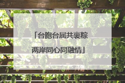 台胞台属共裹粽 两岸同心同融情