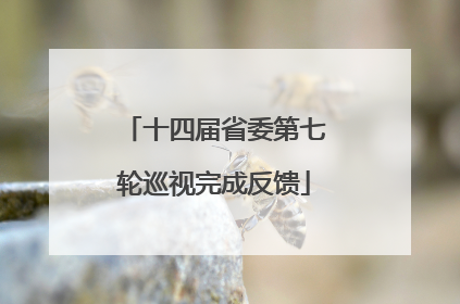 十四届省委第七轮巡视完成反馈