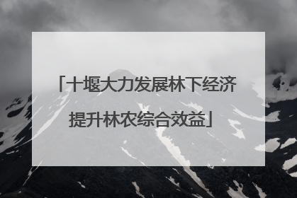 十堰大力发展林下经济 提升林农综合效益