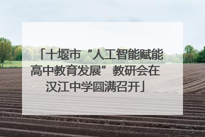 十堰市“人工智能赋能高中教育发展”教研会在汉江中学圆满召开