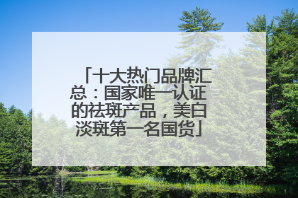 十大热门品牌汇总：国家唯一认证的祛斑产品，美白淡斑第一名国货