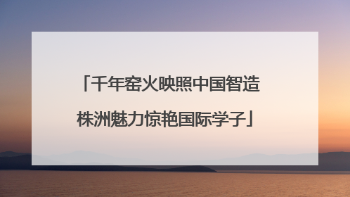 千年窑火映照中国智造 株洲魅力惊艳国际学子