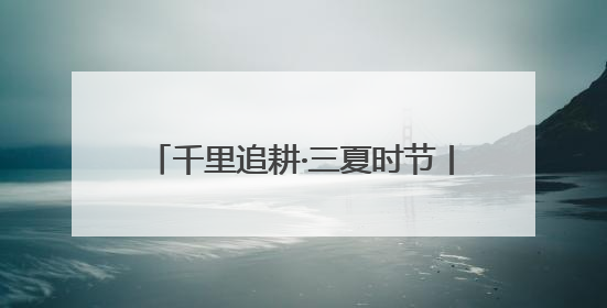 千里追耕·三夏时节丨战三夏保丰收 探索“中原粮仓”里的科技感