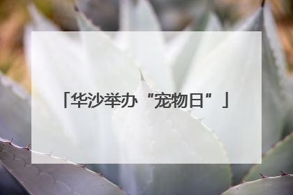 华沙举办“宠物日”