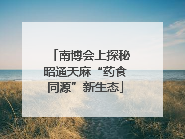 南博会上探秘昭通天麻“药食同源”新生态