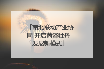南北联动产业协同 开启菏泽牡丹发展新模式