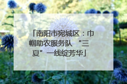 南阳市宛城区：巾帼助农服务队 “三夏”一线绽芳华