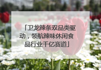 卫龙辣条双品类驱动，领航辣味休闲食品行业千亿赛道