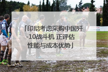 印尼考虑采购中国歼-10战斗机 正评估性能与成本优势
