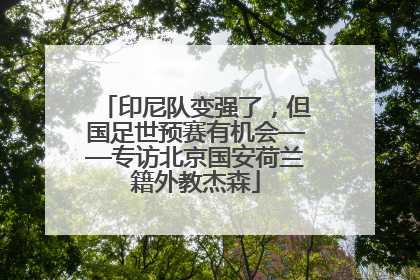印尼队变强了，但国足世预赛有机会——专访北京国安荷兰籍外教杰森