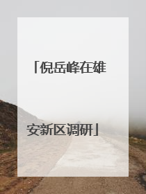 倪岳峰在雄安新区调研
