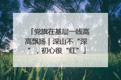 党旗在基层一线高高飘扬｜深山不“深”，初心很“红”