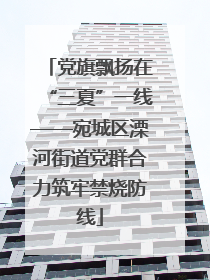 党旗飘扬在“三夏”一线——宛城区溧河街道党群合力筑牢禁烧防线
