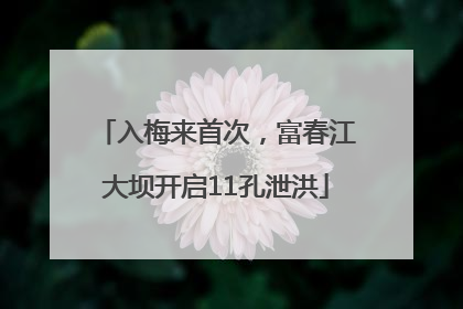 入梅来首次，富春江大坝开启11孔泄洪