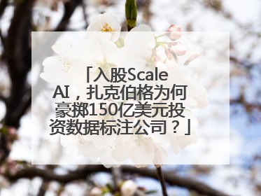 入股Scale AI，扎克伯格为何豪掷150亿美元投资数据标注公司？
