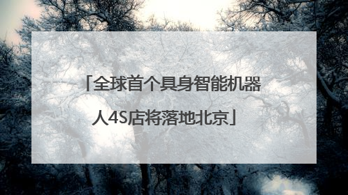 全球首个具身智能机器人4S店将落地北京