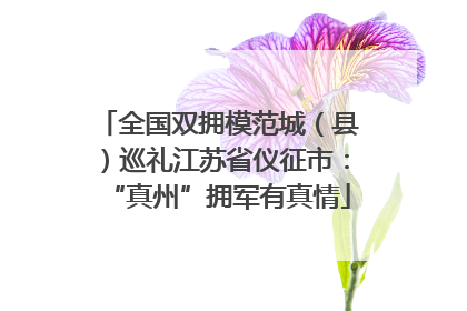 全国双拥模范城（县）巡礼江苏省仪征市：“真州”拥军有真情