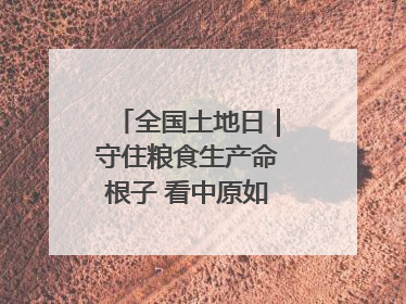 全国土地日｜守住粮食生产命根子 看中原如何“耕”新