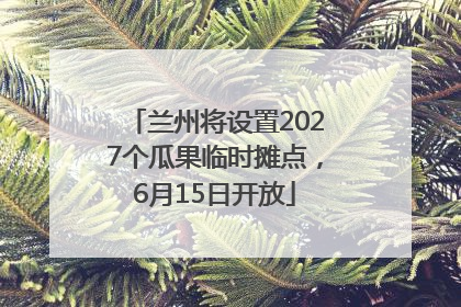 兰州将设置2027个瓜果临时摊点，6月15日开放