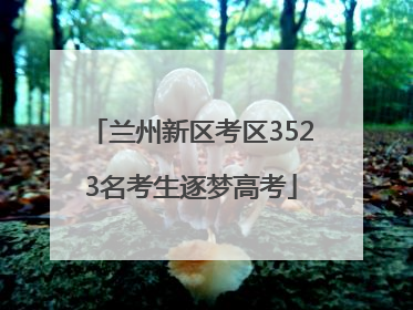 兰州新区考区3523名考生逐梦高考