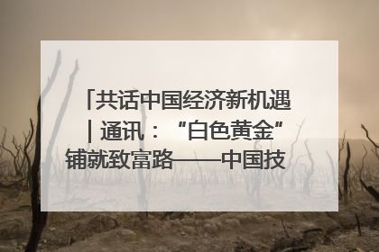 共话中国经济新机遇｜通讯：“白色黄金”铺就致富路——中国技术助力科特迪瓦橡胶产业增产增效