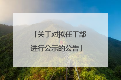 关于对拟任干部进行公示的公告