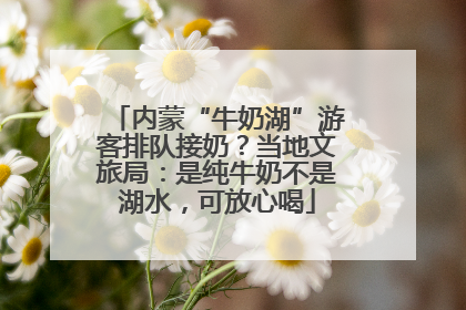 内蒙“牛奶湖”游客排队接奶？当地文旅局：是纯牛奶不是湖水，可放心喝