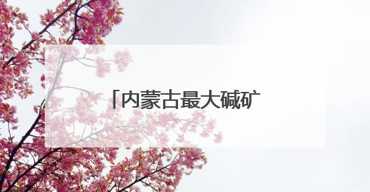 内蒙古最大碱矿找“买家” 储量20.77亿吨