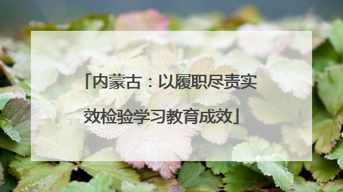 内蒙古：以履职尽责实效检验学习教育成效
