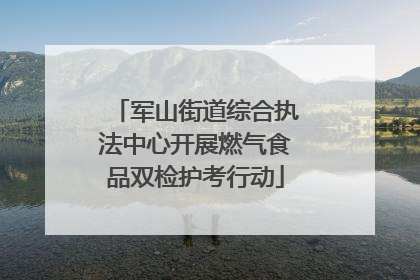 军山街道综合执法中心开展燃气食品双检护考行动