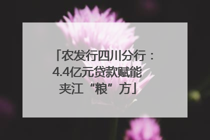 农发行四川分行：4.4亿元贷款赋能夹江“粮”方