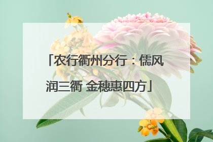 农行衢州分行：儒风润三衢 金穗惠四方