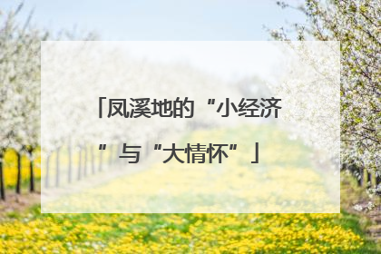 凤溪地的“小经济”与“大情怀”