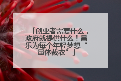 创业者需要什么，政府就提供什么！昌乐为每个年轻梦想“量体裁衣”