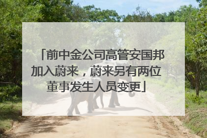 前中金公司高管安国邦加入蔚来，蔚来另有两位董事发生人员变更