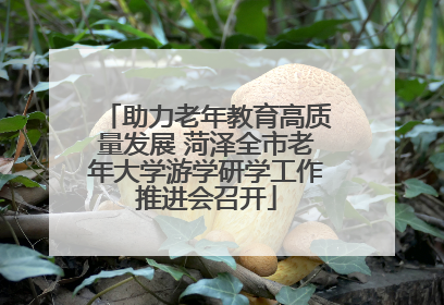 助力老年教育高质量发展 菏泽全市老年大学游学研学工作推进会召开