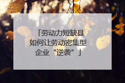 劳动力短缺县 如何让劳动密集型企业“逆袭”
