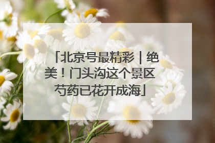 北京号最精彩｜绝美！门头沟这个景区芍药已花开成海