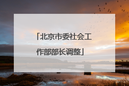 北京市委社会工作部部长调整