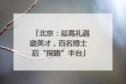 北京：最高礼遇邀英才，百名博士后“探路”丰台